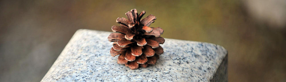 alfaoutdoors.com